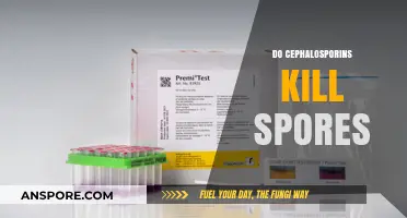 Cephalosporins and Spores: Unraveling Their Antimicrobial Effectiveness