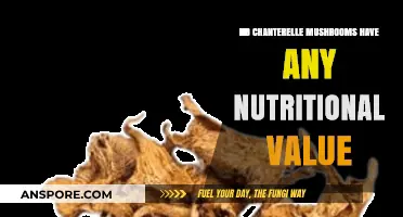 Chanterelle Mushrooms: Unveiling Their Nutritional Benefits and Culinary Uses