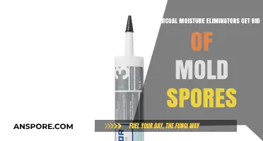 Charcoal Moisture Eliminators: Effective Mold Spores Remedy or Myth?