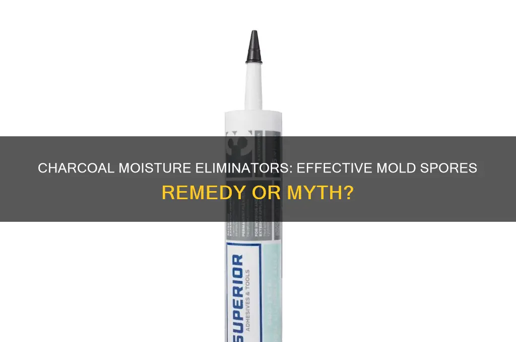 do charcoal moisture eliminators get rid of mold spores