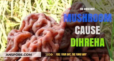 Chestnut Mushrooms: The Surprising Cause of Diarrhea?