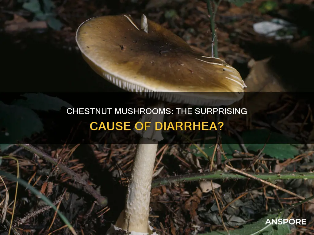 do chestnut mushrooms cause dihreha