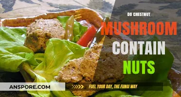 Mushroom Mystery: Are Chestnuts Nutty?