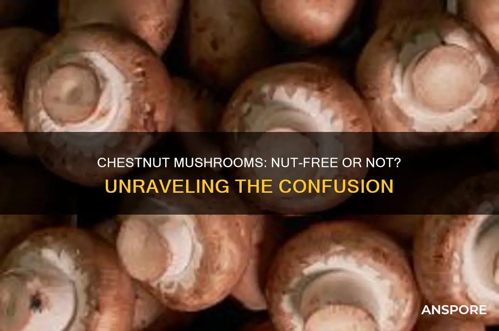 do chestnut mushrooms have nuts in