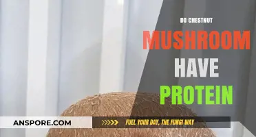 Chestnut Mushrooms: Are They a Good Protein Source?
