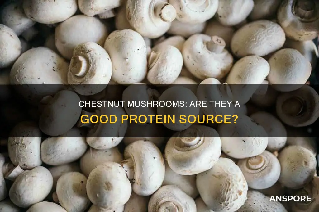 do chestnut mushrooms have protein