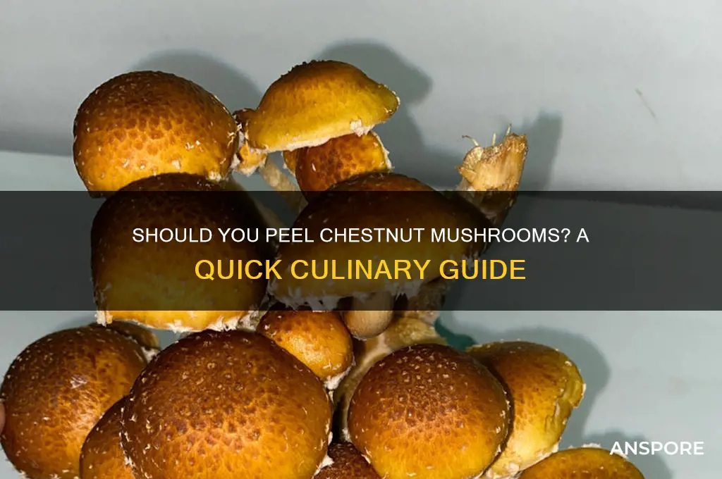 do chestnut mushrooms need to be peeled