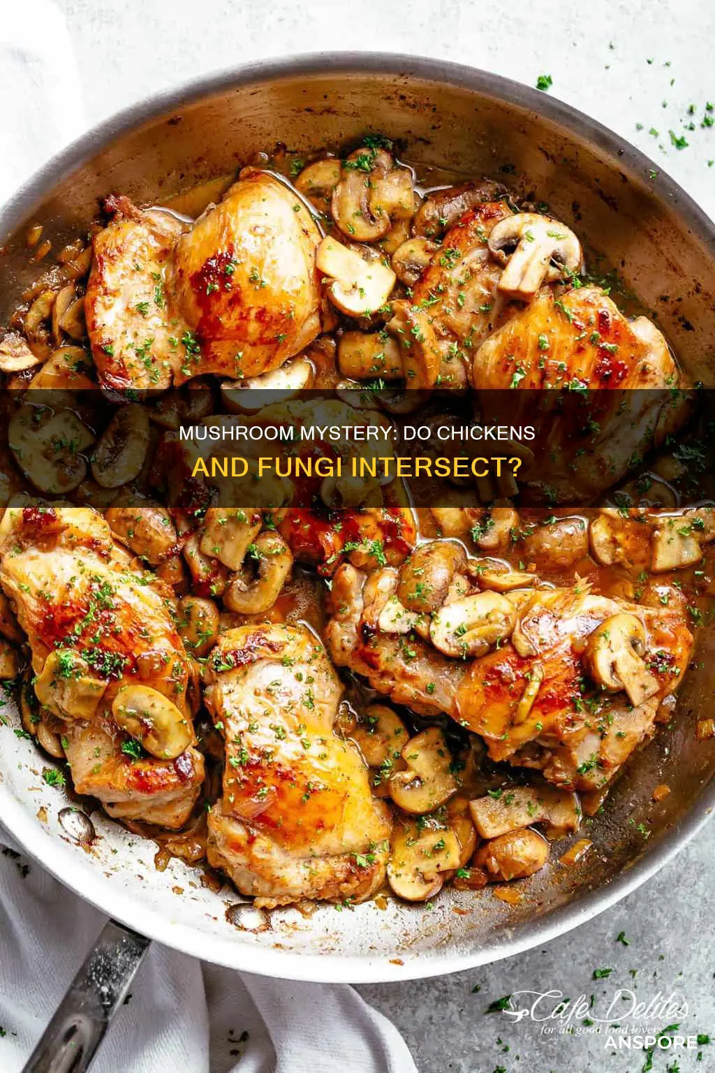 do chickens have mushrooms