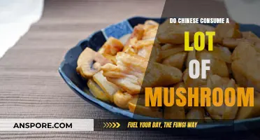 Exploring China's Love for Mushrooms: A Culinary Tradition Unveiled