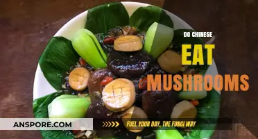 Exploring Chinese Cuisine: Do Mushrooms Hold a Place in Their Diet?