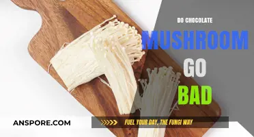 Do Chocolate Mushrooms Expire? Shelf Life and Storage Tips