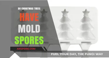 Christmas Trees and Mold: Uncovering Hidden Spores in Your Holiday Decor
