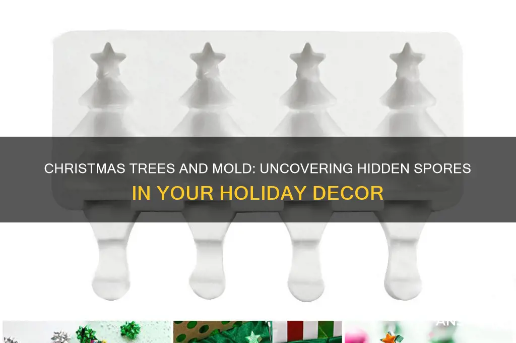 do christmas trees have mold spores