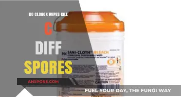 Do Clorox Wipes Effectively Kill C. Diff Spores? Find Out Here