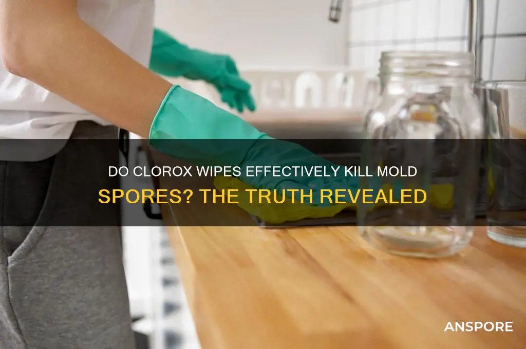 do clorox wipes kill mold spores