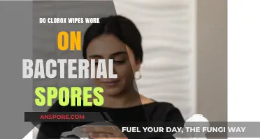 Do Clorox Wipes Effectively Kill Bacterial Spores? A Deep Dive