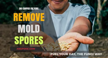 Can Coffee Filters Effectively Remove Mold Spores from Your Brew?