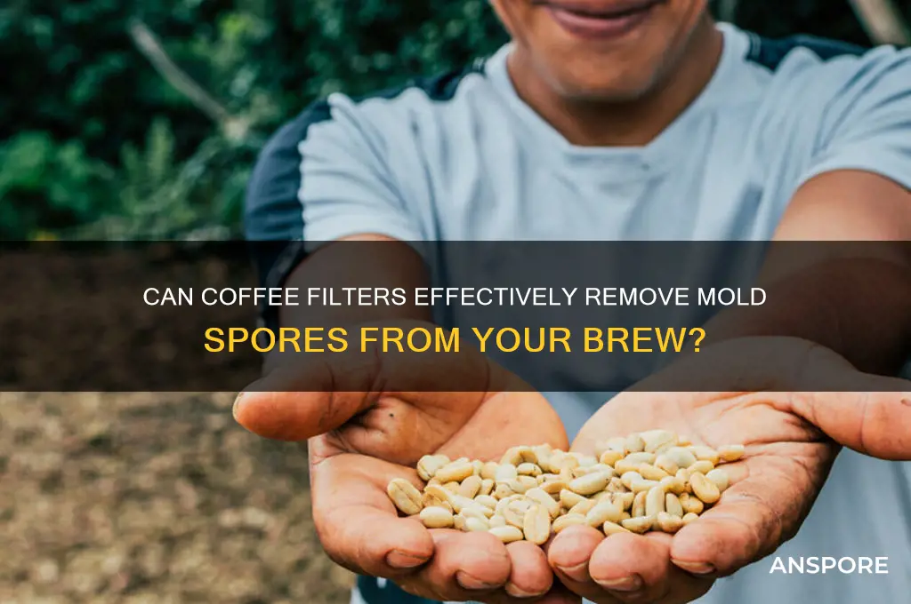 do coffee filters remove mold spores