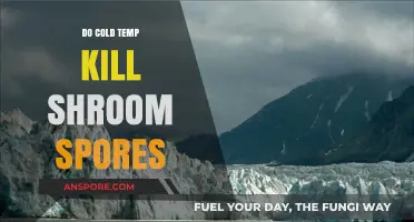 Can Cold Temperatures Destroy Mushroom Spores? A Comprehensive Analysis