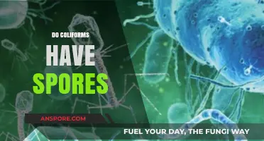 Do Coliforms Form Spores? Unraveling Their Survival Mechanisms