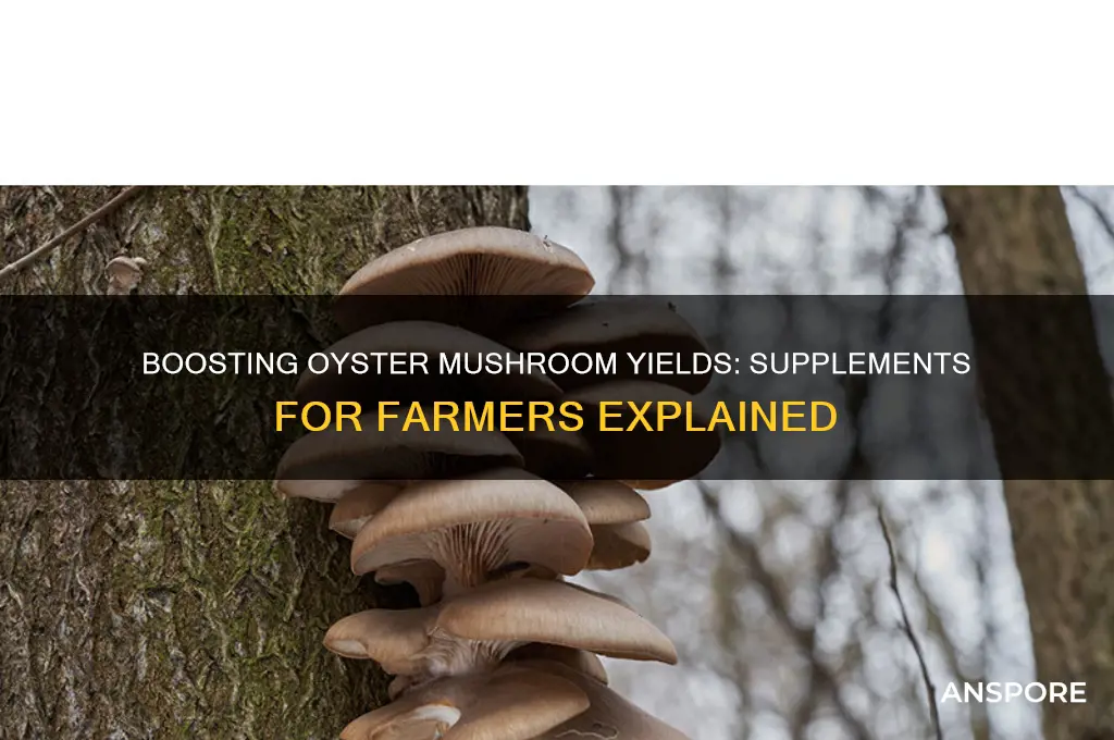 do companies sell supplements for oyster mushroom farmers