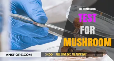 Mushroom Testing: What Companies Need to Know