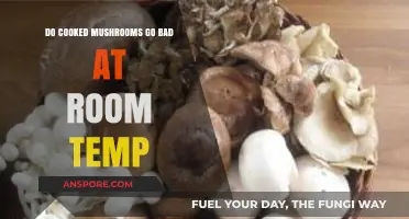Cooked Mushrooms at Room Temp: How Long Do They Last?