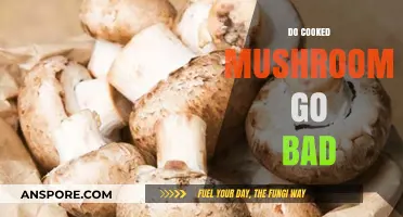 How Long Do Cooked Mushrooms Last? Storage Tips & Signs of Spoilage