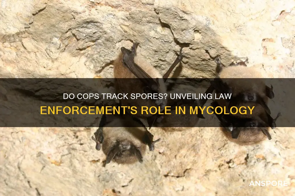 do cops track spores