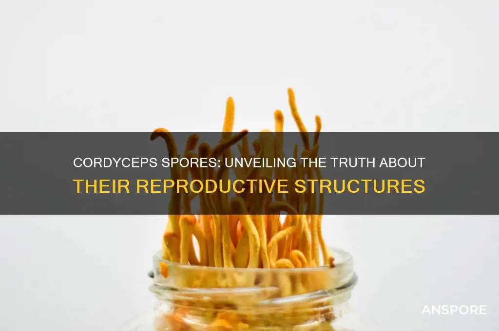 do cordyceps have spores