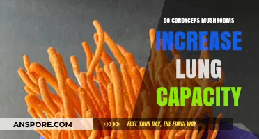 Can Cordyceps Mushrooms Boost Your Lung Capacity? Exploring the Science
