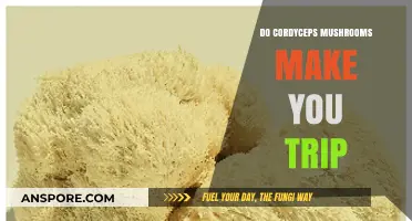 Cordyceps Mushrooms: Do They Induce Trips or Enhance Focus?