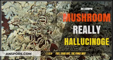 Cowpie Mushrooms: Hallucinogenic or Harmless?