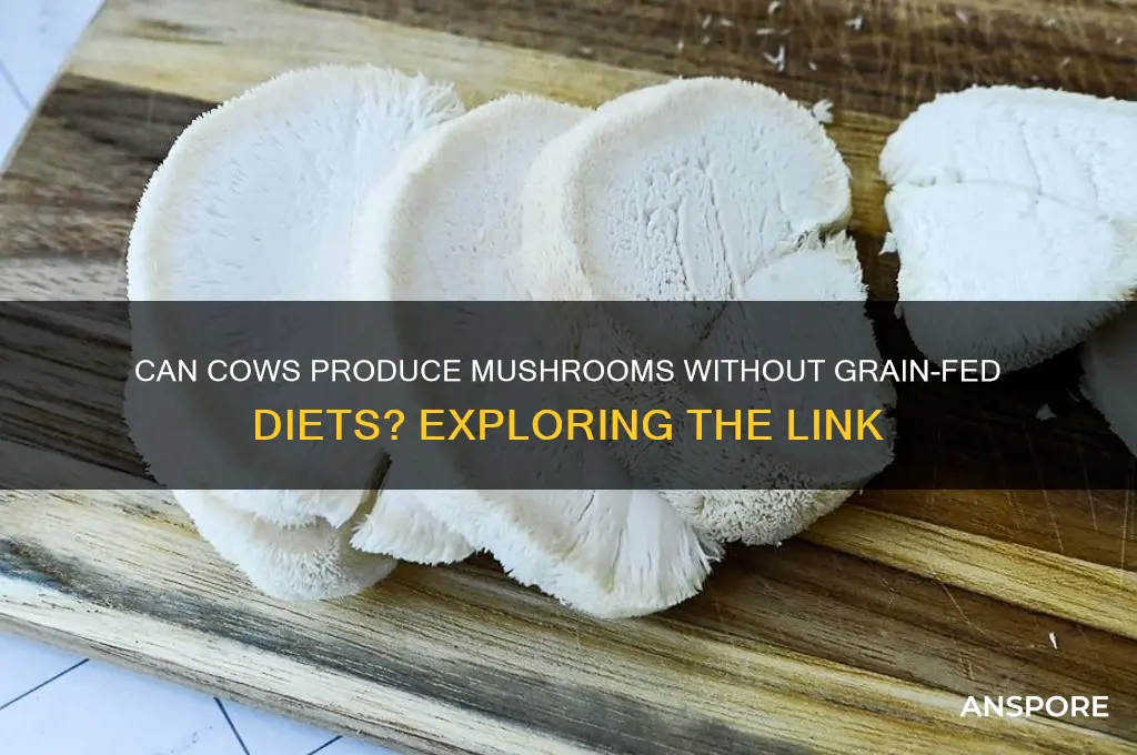 do cows have to be grain fed to produce mushrooms