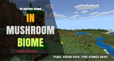 Do Creepers Spawn in Mushroom Biomes? Minecraft Myth Explained