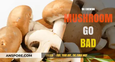 Do Cremini Mushrooms Go Bad? Shelf Life and Storage Tips