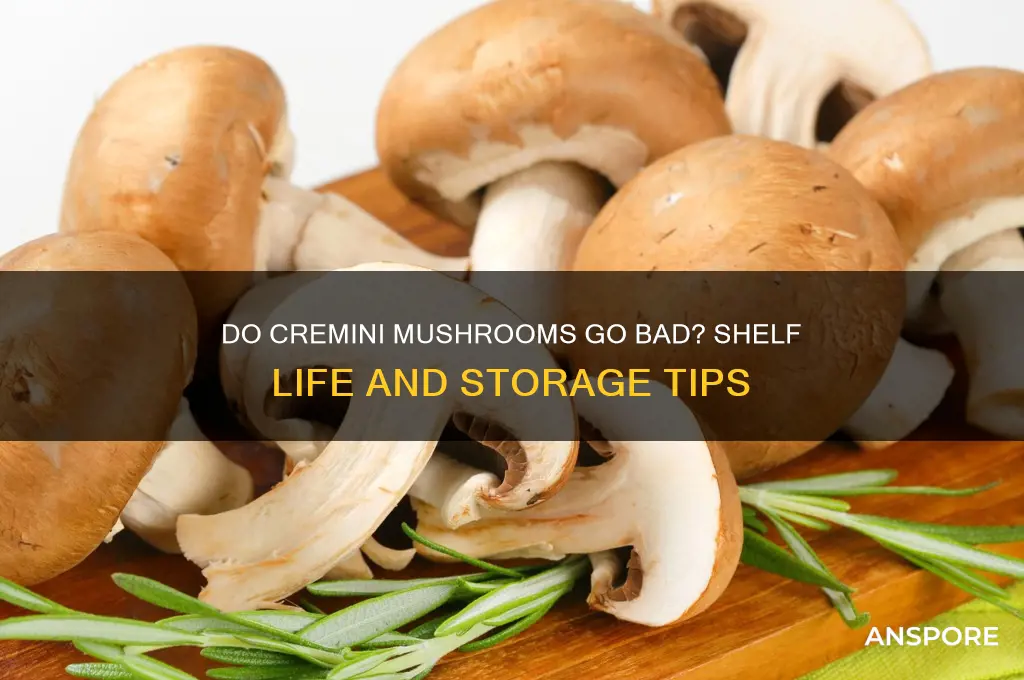 do cremini mushrooms go bad
