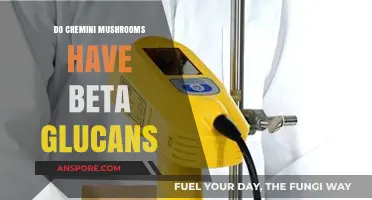 Cremini Mushrooms and Beta Glucans: Unlocking Their Immune-Boosting Potential