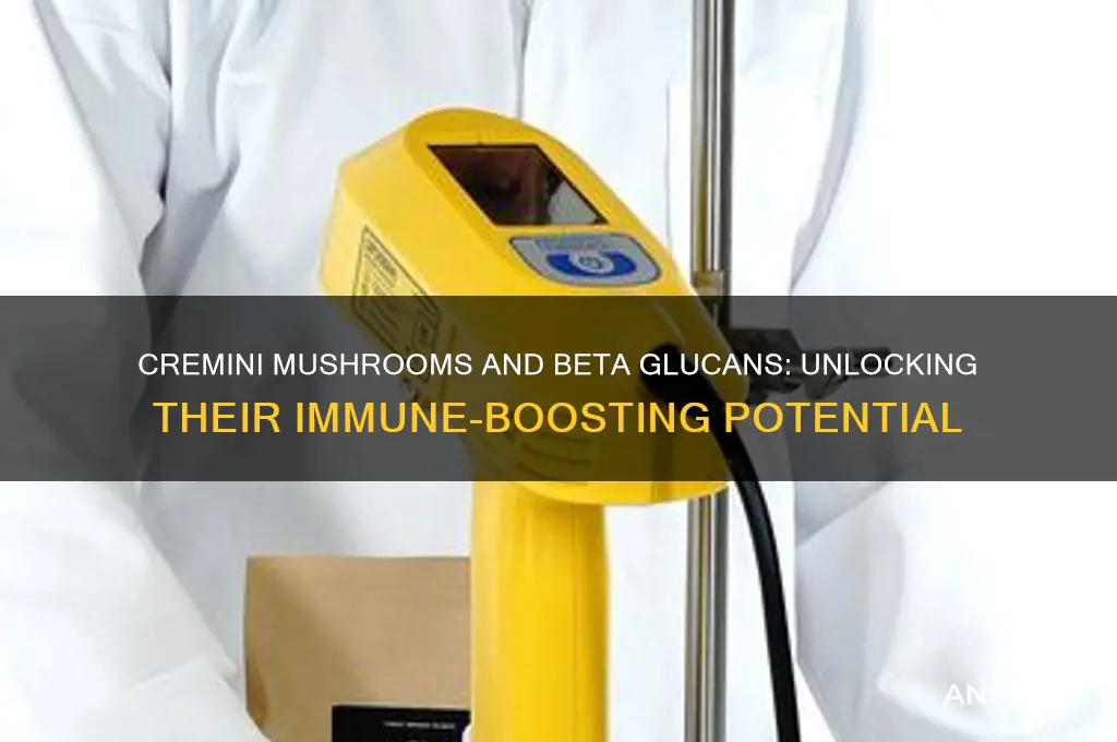 do cremini mushrooms have beta glucans