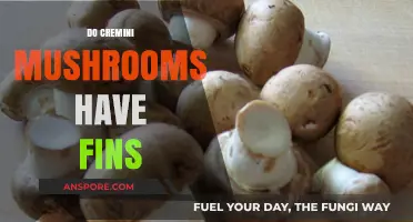 Cremini Mushrooms: Do They Have Fins?