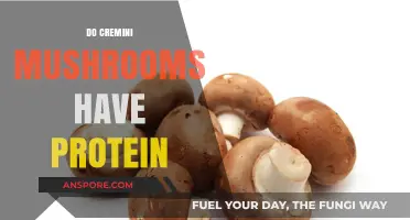 Cremini Mushrooms: A Surprising Source of Protein?