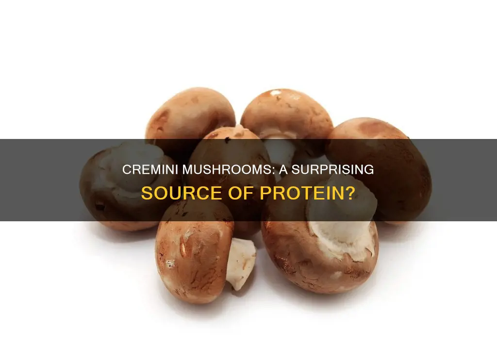 do cremini mushrooms have protein