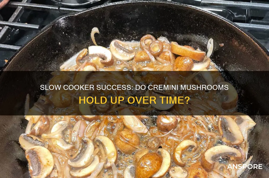 do cremini mushrooms hold up to slow cooker