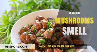 Cremini Mushrooms: Aroma or Odor?