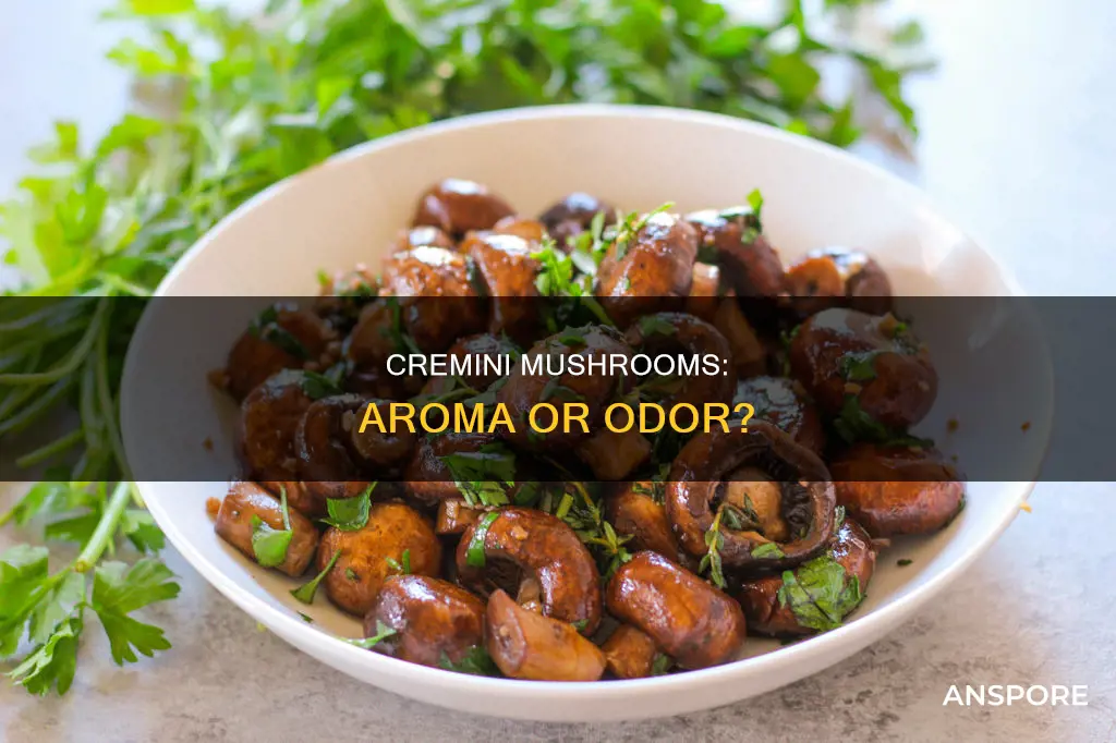 do cremini mushrooms smell