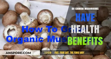 Exploring Crimini Mushrooms: Unveiling Their Surprising Health Benefits and Uses
