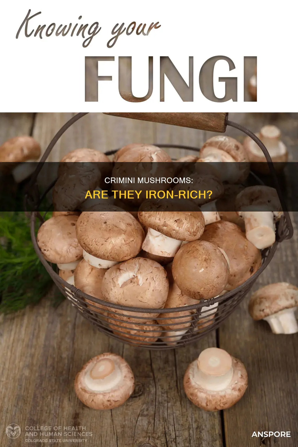 do crimini mushrooms have iron