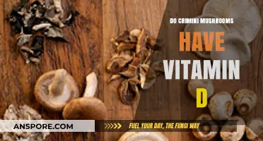 Crimini Mushrooms and Vitamin D: Unveiling Their Nutritional Benefits