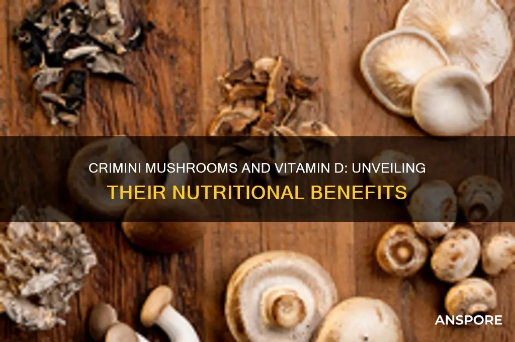 do crimini mushrooms have vitamin d