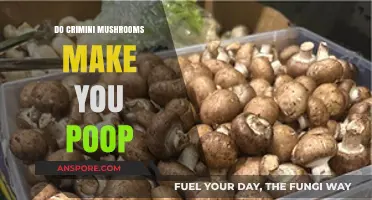 Do Crimini Mushrooms Cause Pooping? Unraveling the Digestive Truth